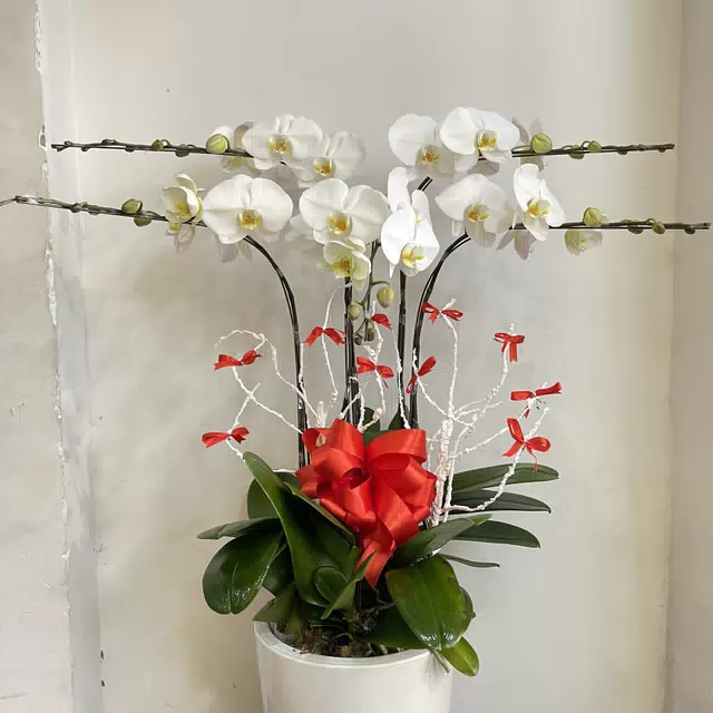 Hình ảnh hoa giao hàng thực tế
