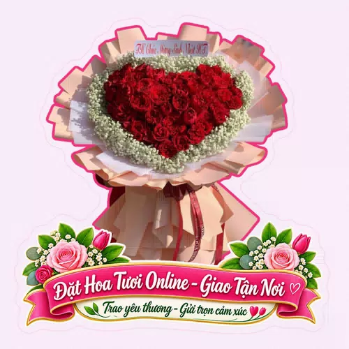 Cửa Hàng Hoa Tươi Phường Tây Nha Trang Khánh Hoà - Hoa Đẹp Cho Mọi Dịp