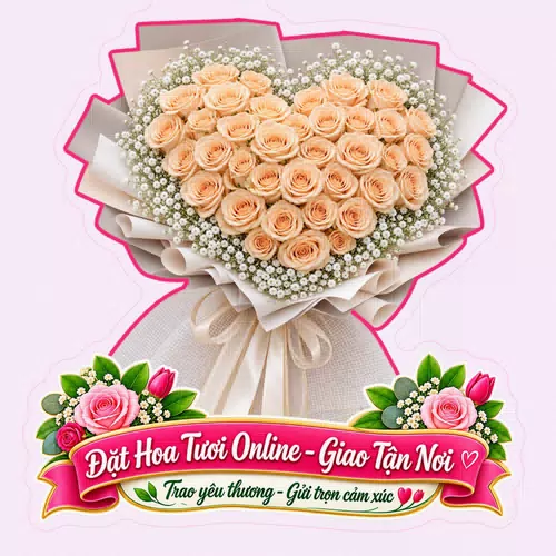 Cửa Hàng Hoa Tươi Xã Càng Long Vĩnh Long - Giao Hoa Nhanh, Đúng Hẹn
