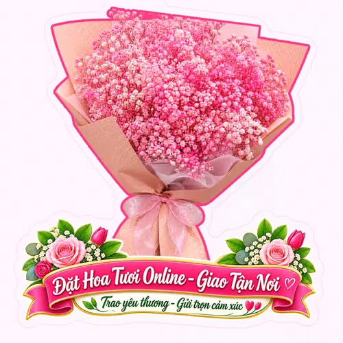 Cửa Hàng Hoa Tươi Xã Ngọc Chúc An Giang - Nhiều Mẫu Hoa Đẹp