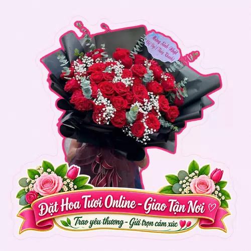 Cửa Hàng Hoa Tươi Xã Nhuận Đức Hồ Chí Minh - Nhiều Mẫu Hoa Đẹp