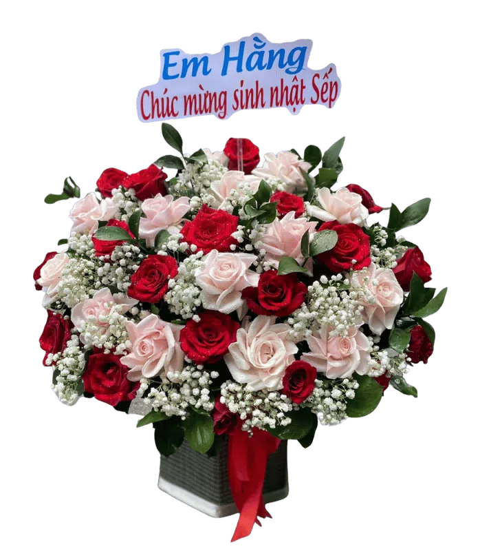 Hộp Hoa Hồng Đỏ Phấn Vuông